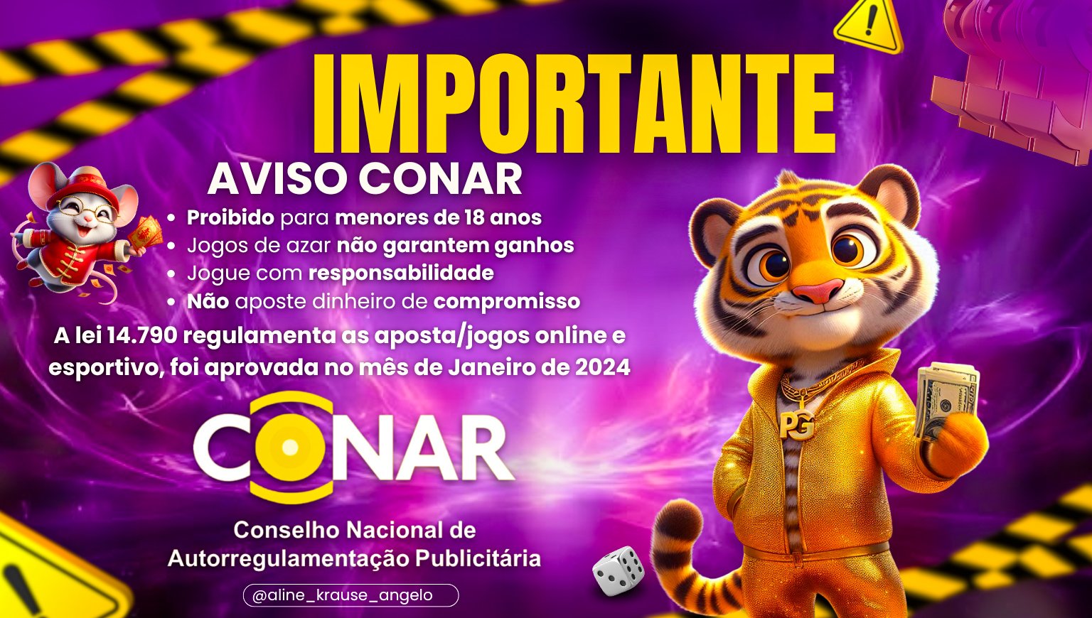 Banner Conar